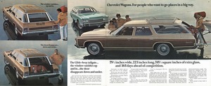 1971 Chevrolet Full Size (Cdn)-18-19.jpg